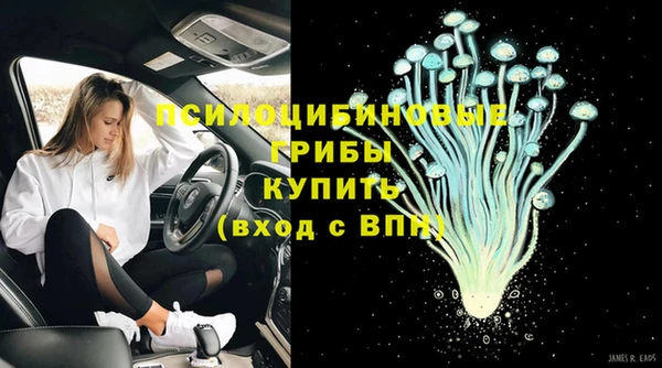 молекула духа Беломорск