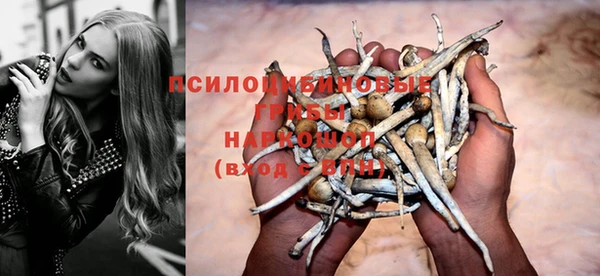 молекула духа Беломорск